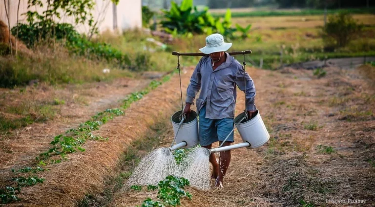 Aposentadoria Rural em Porto Alegre